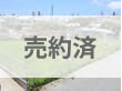 img_shimabukuro