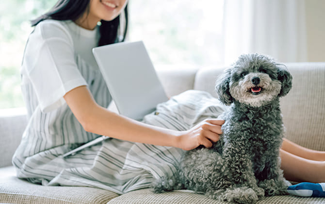 犬とソファでくつろぐ様子
