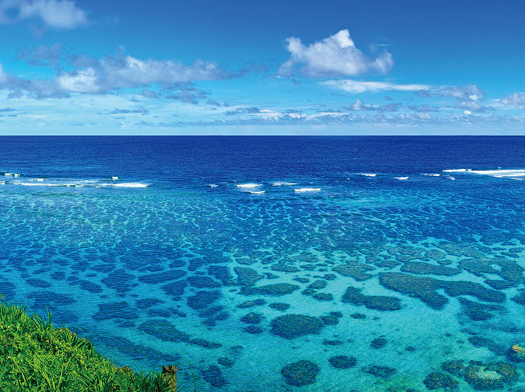 沖縄の海