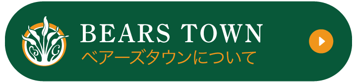 ベアーズタウンについて